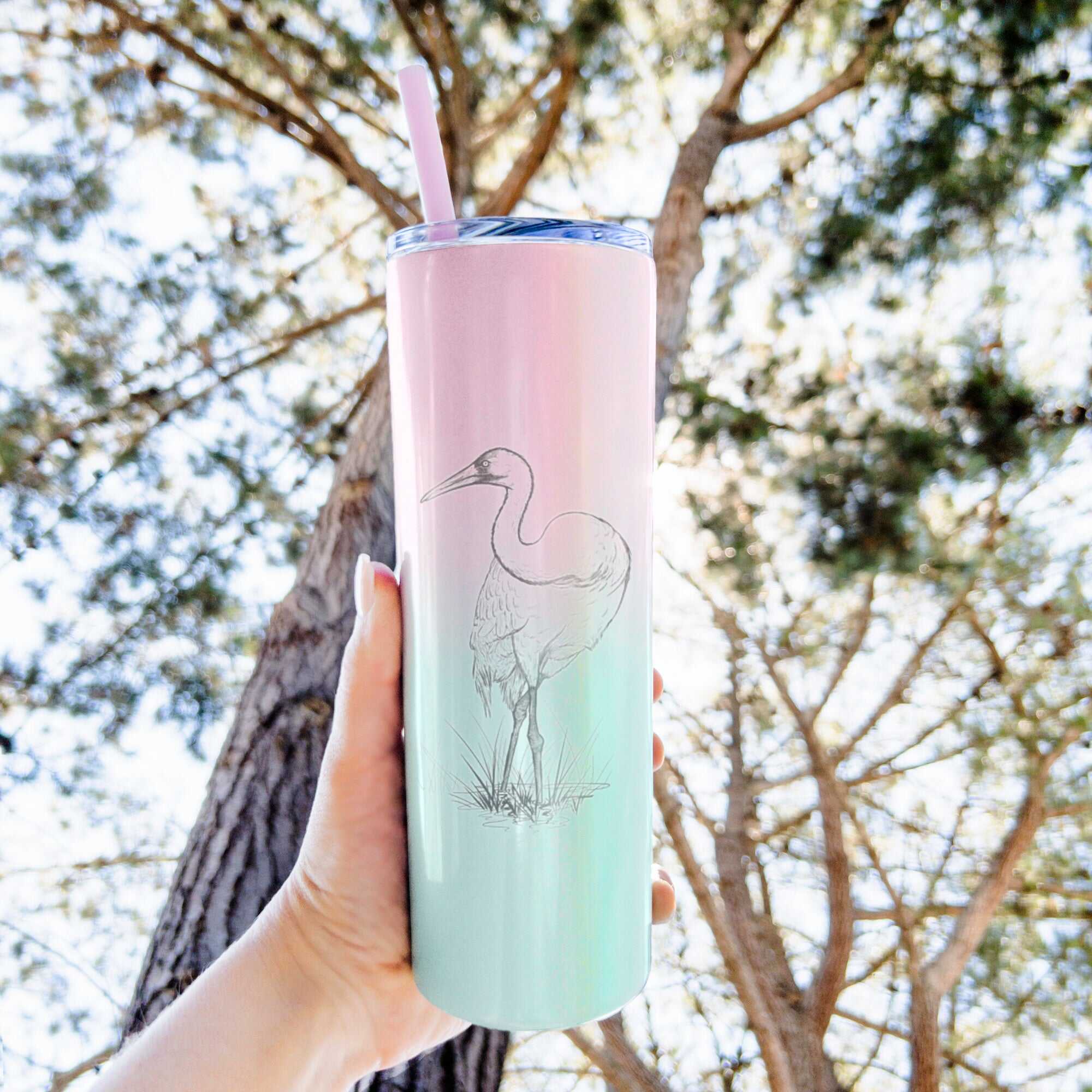 Whooping Crane - Grus americana - 20oz Skinny Tumbler