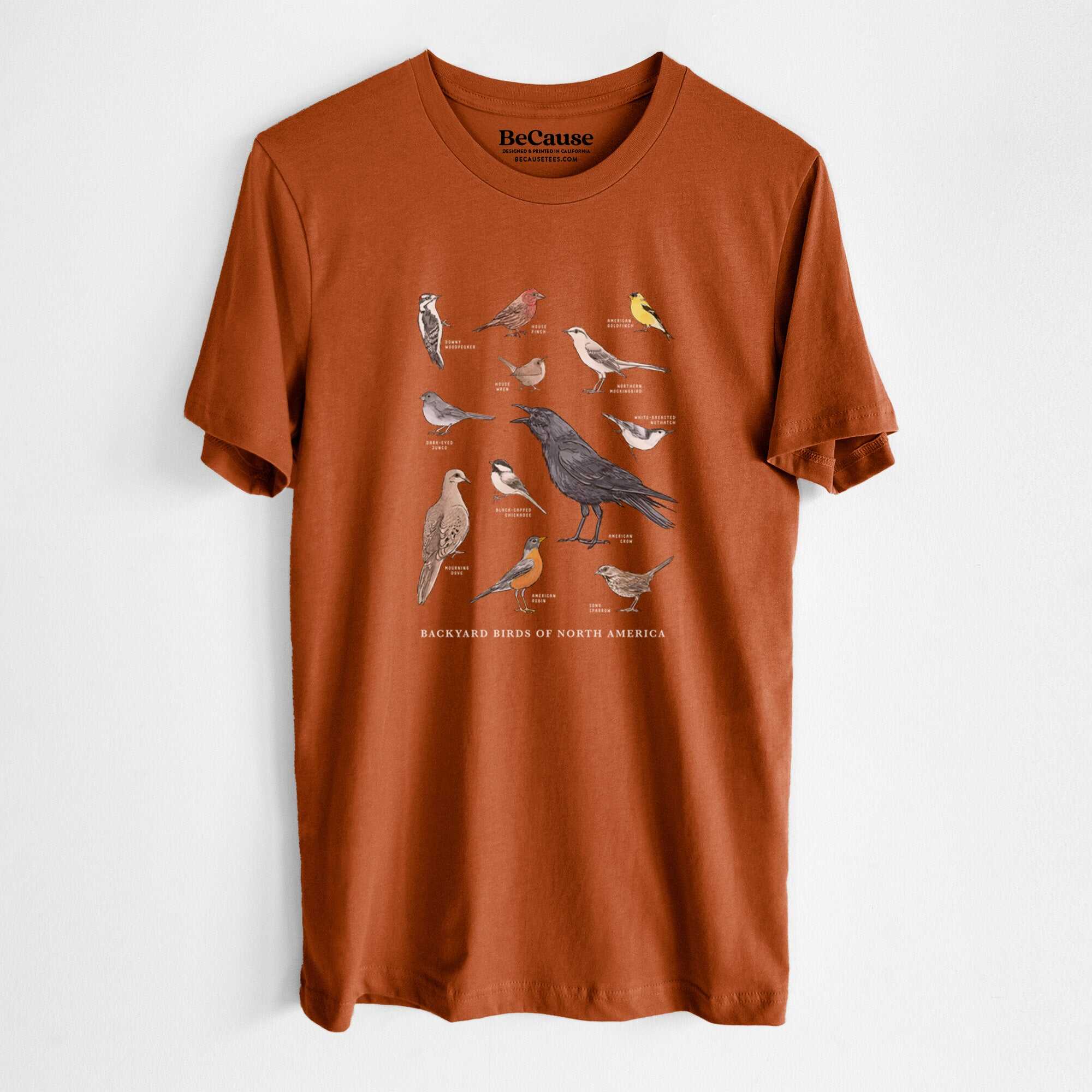 Common Backyard Birds of North America - Lightweight 100% Cotton Unisex Crewneck