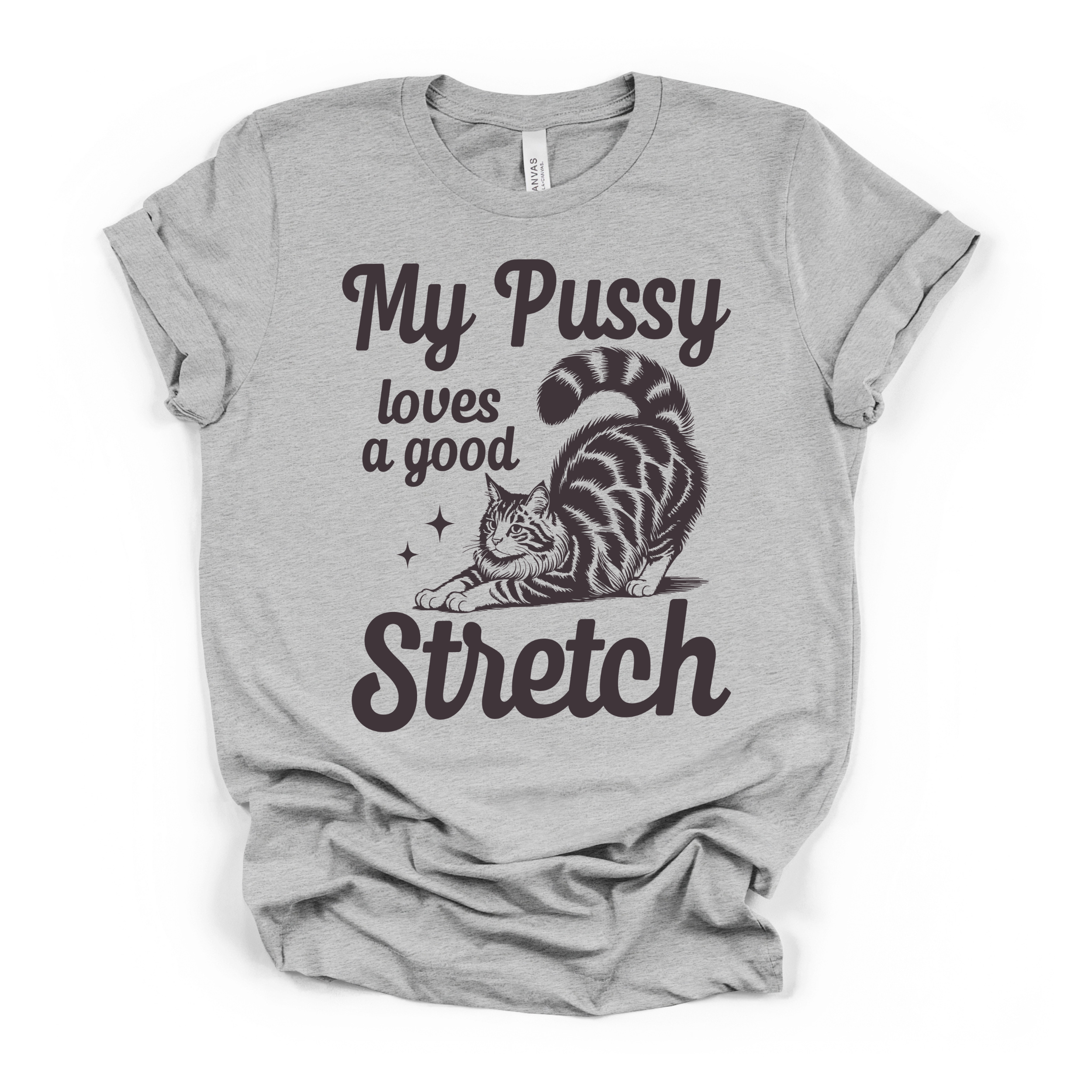 My Pu**y Loves A Good Stretch Women's Humor T Shirt