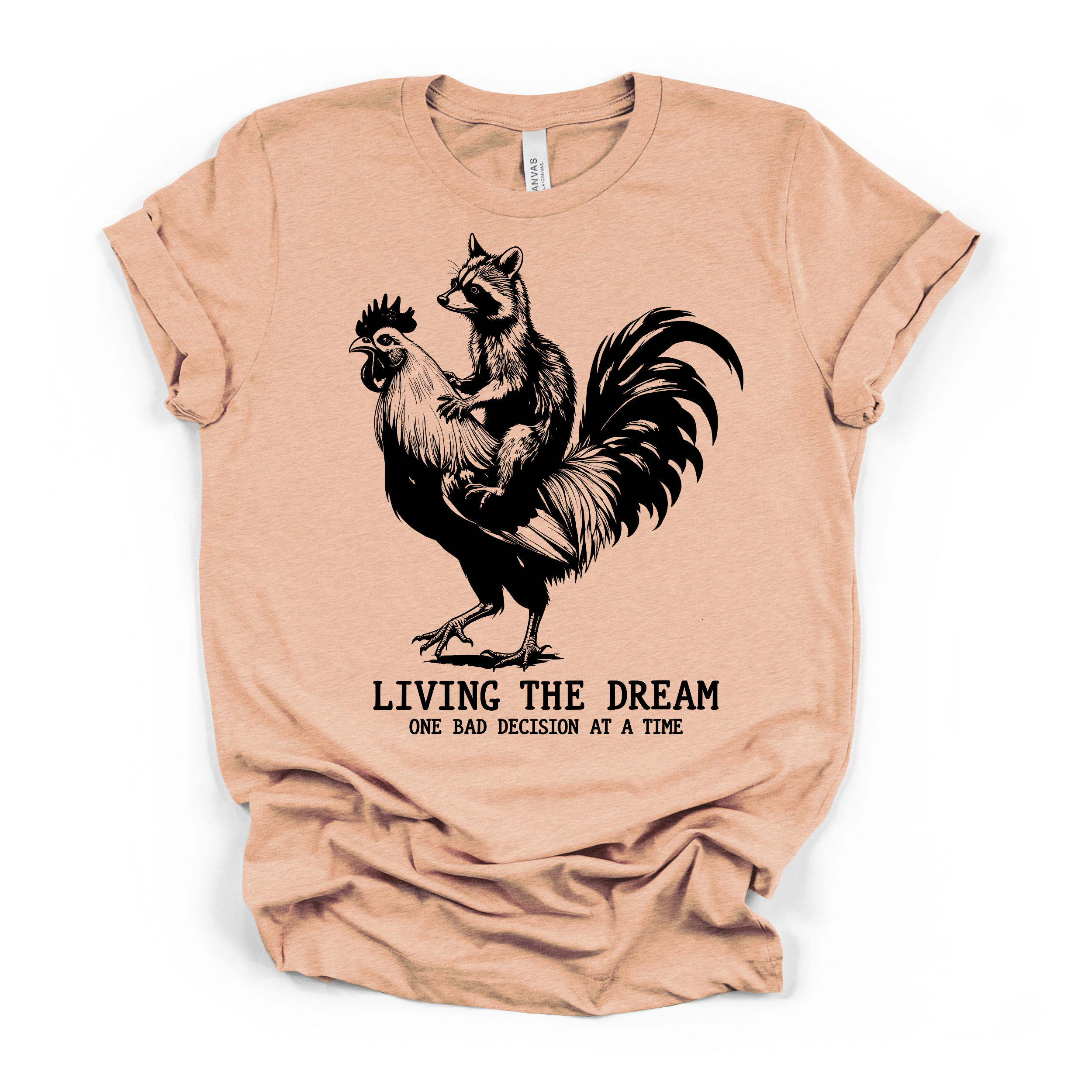 Living The Dream Women's Humor T Shirt