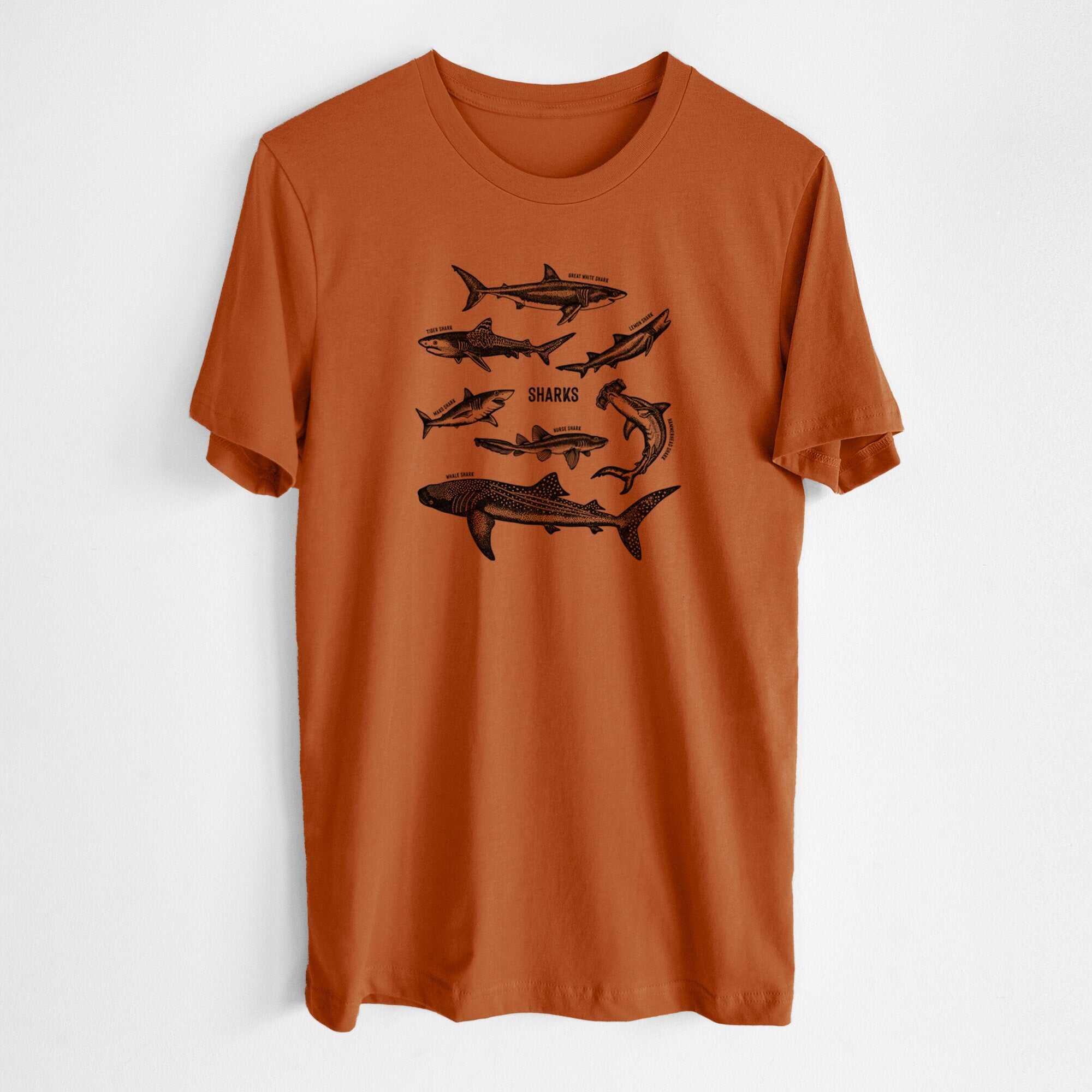 Shark Chart - Lightweight 100% Cotton Unisex Crewneck
