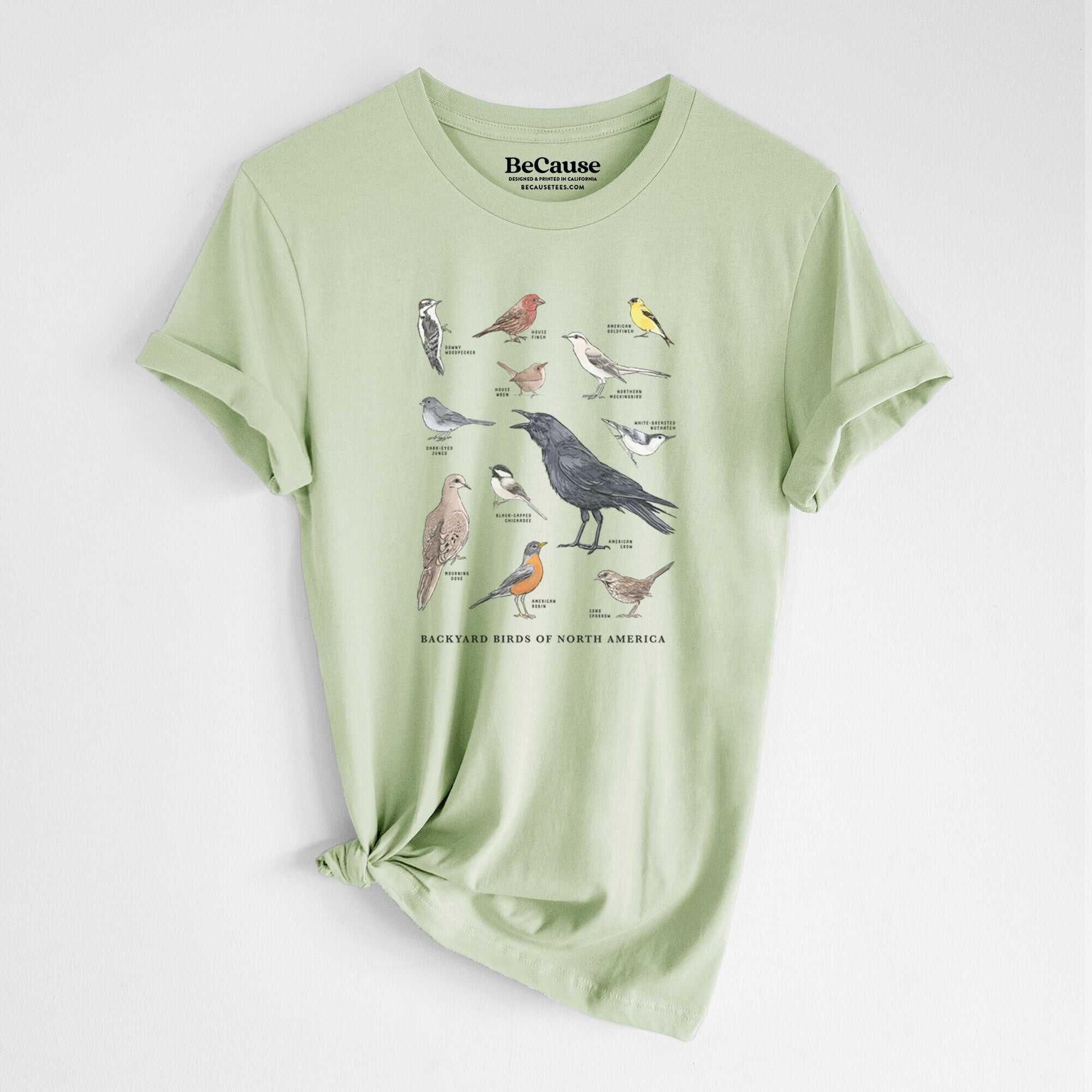 Common Backyard Birds of North America - Lightweight 100% Cotton Unisex Crewneck