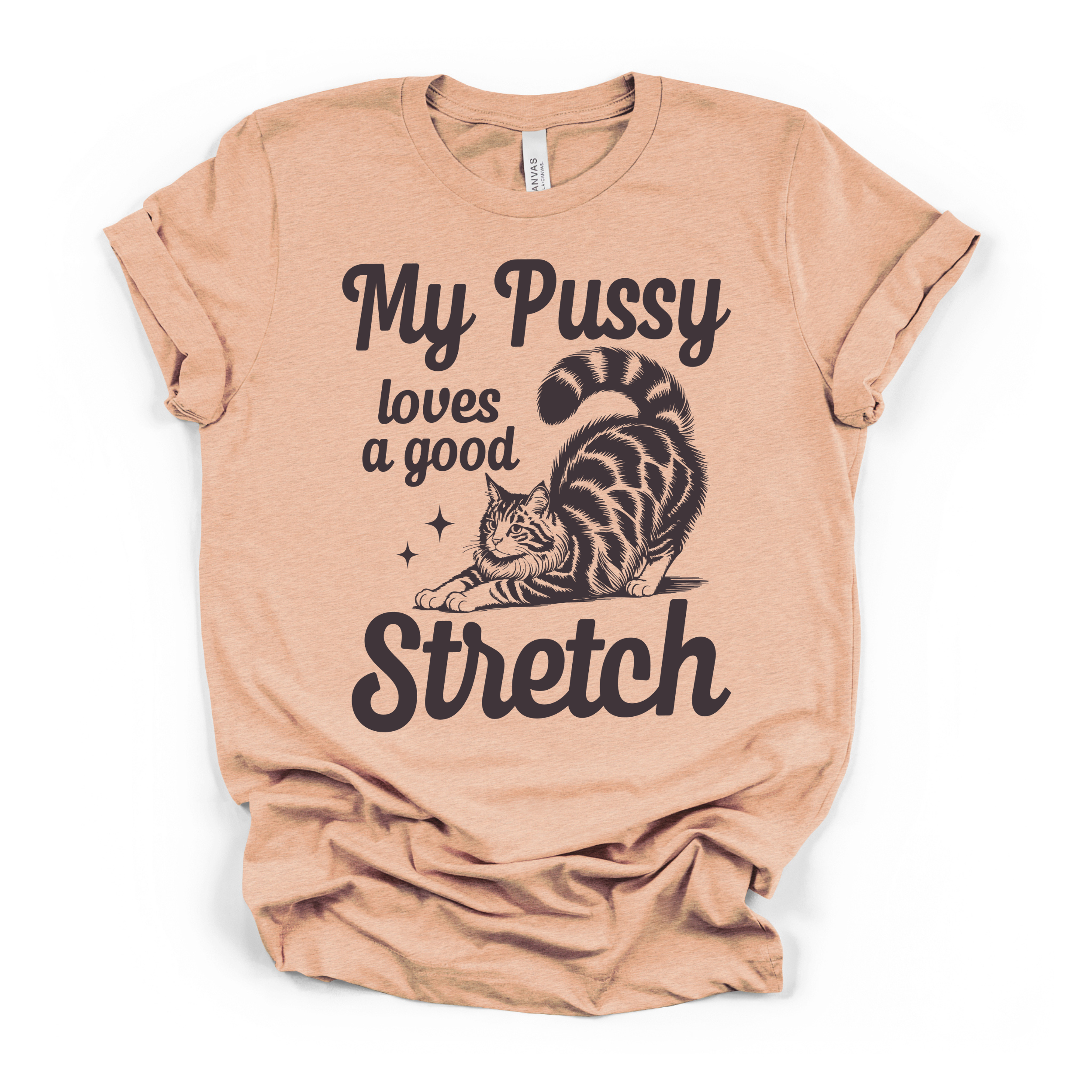 My Pu**y Loves A Good Stretch Women's Humor T Shirt