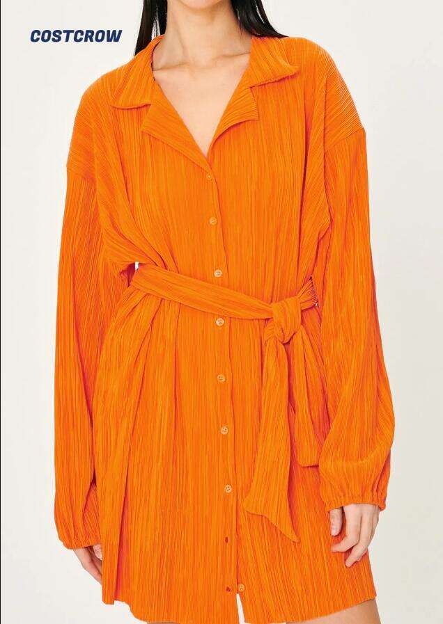 Sandra Plisse Shirt Dress