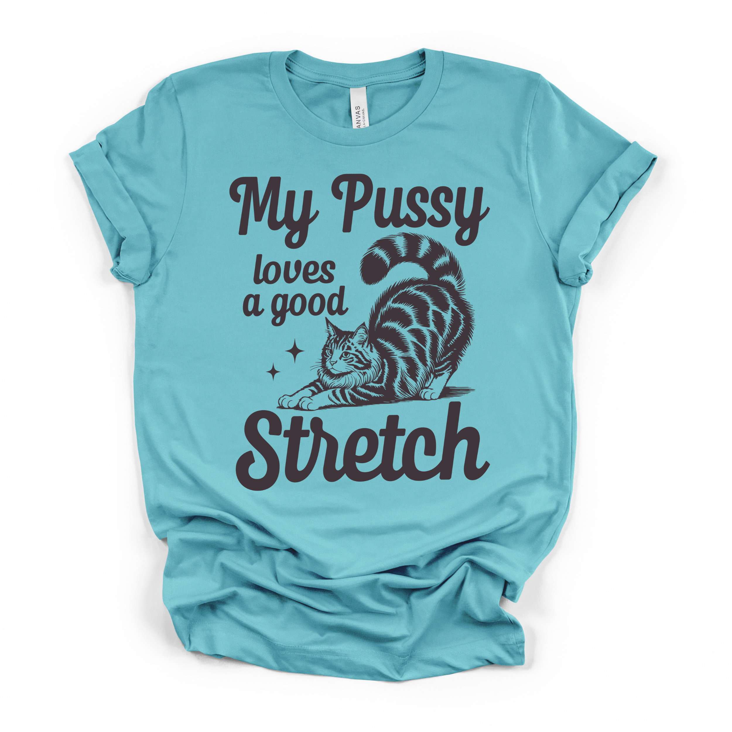 My Pu**y Loves A Good Stretch Women's Humor T Shirt