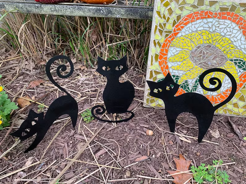Spooky Cat Stakes
