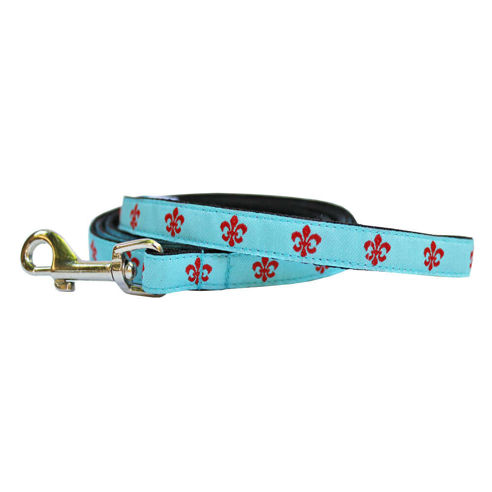 Aqua & Red Extra Small Fleur de Lis Dog Leash