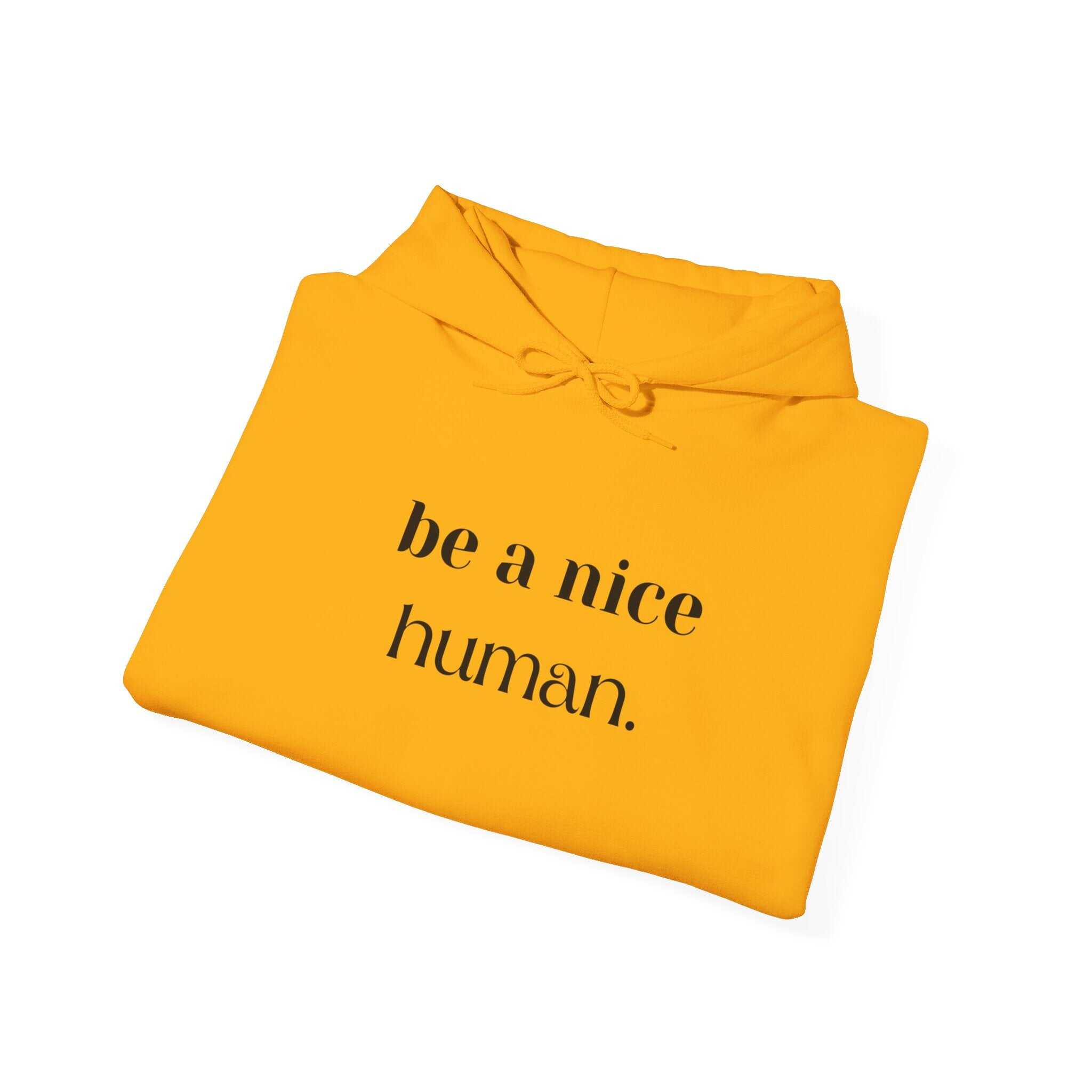 ZCKBDBe a nice human.. Unisex Heavy Blend™ Hooded Sweatshirt