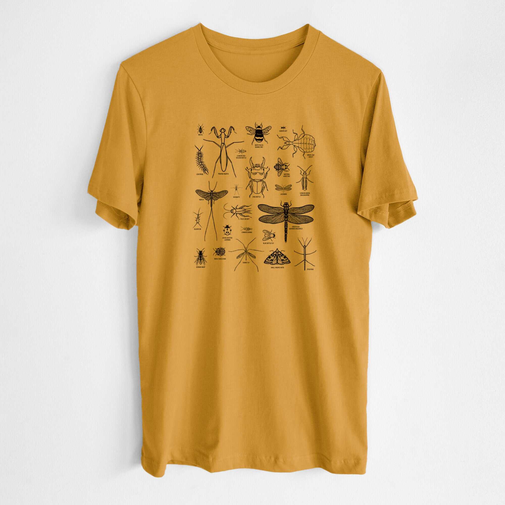 Chart of Arthropods/Insects - Lightweight 100% Cotton Unisex Crewneck