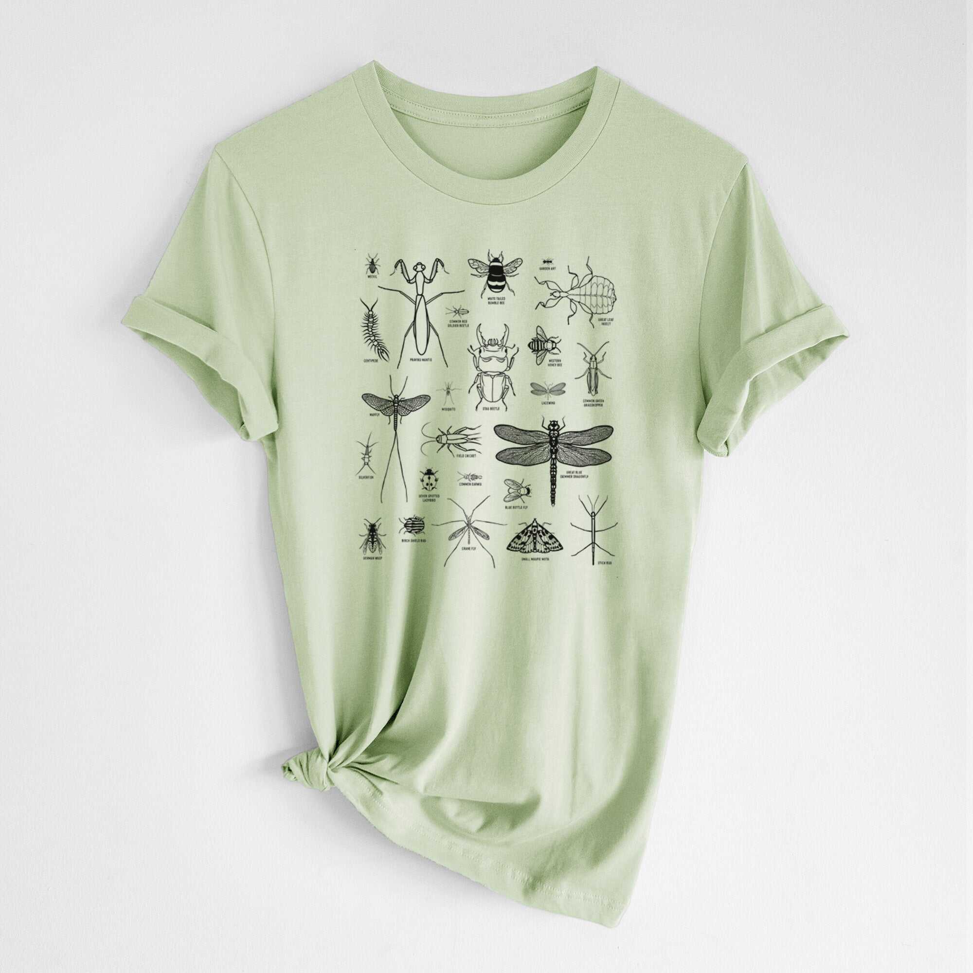 Chart of Arthropods/Insects - Lightweight 100% Cotton Unisex Crewneck