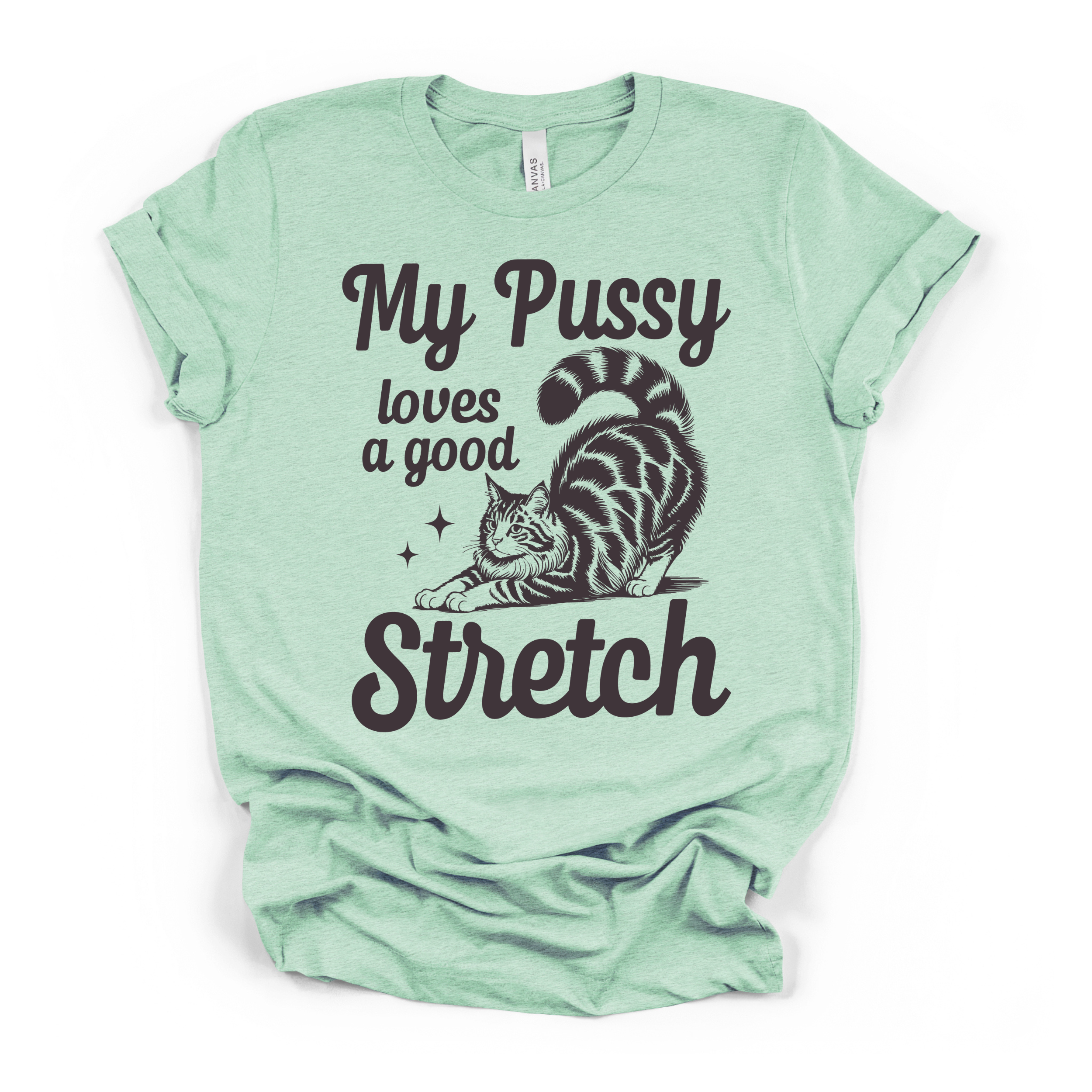 My Pu**y Loves A Good Stretch Women's Humor T Shirt
