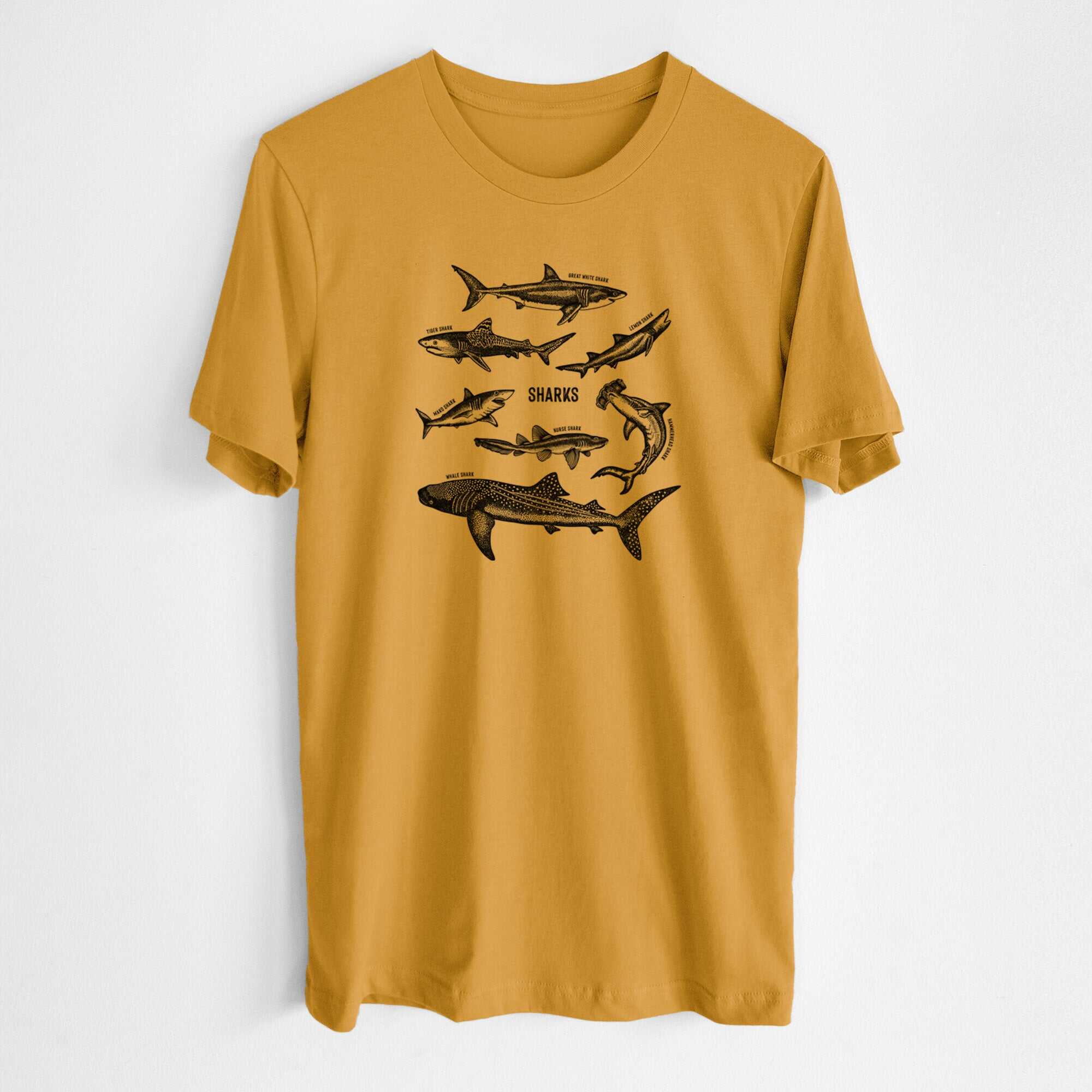 Shark Chart - Lightweight 100% Cotton Unisex Crewneck