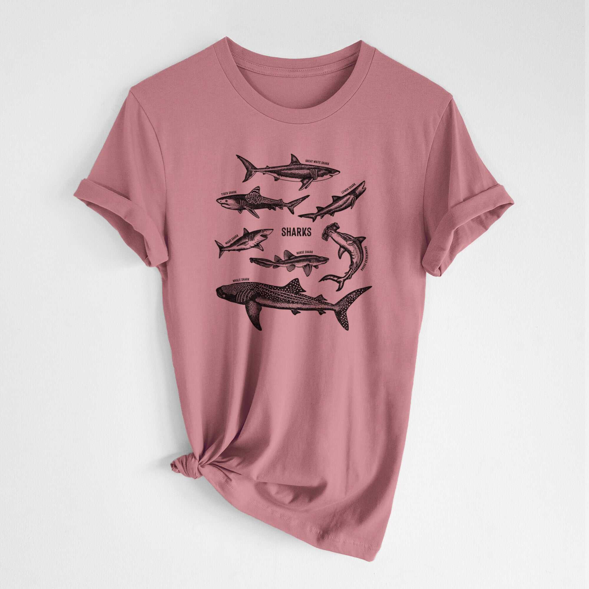 Shark Chart - Lightweight 100% Cotton Unisex Crewneck