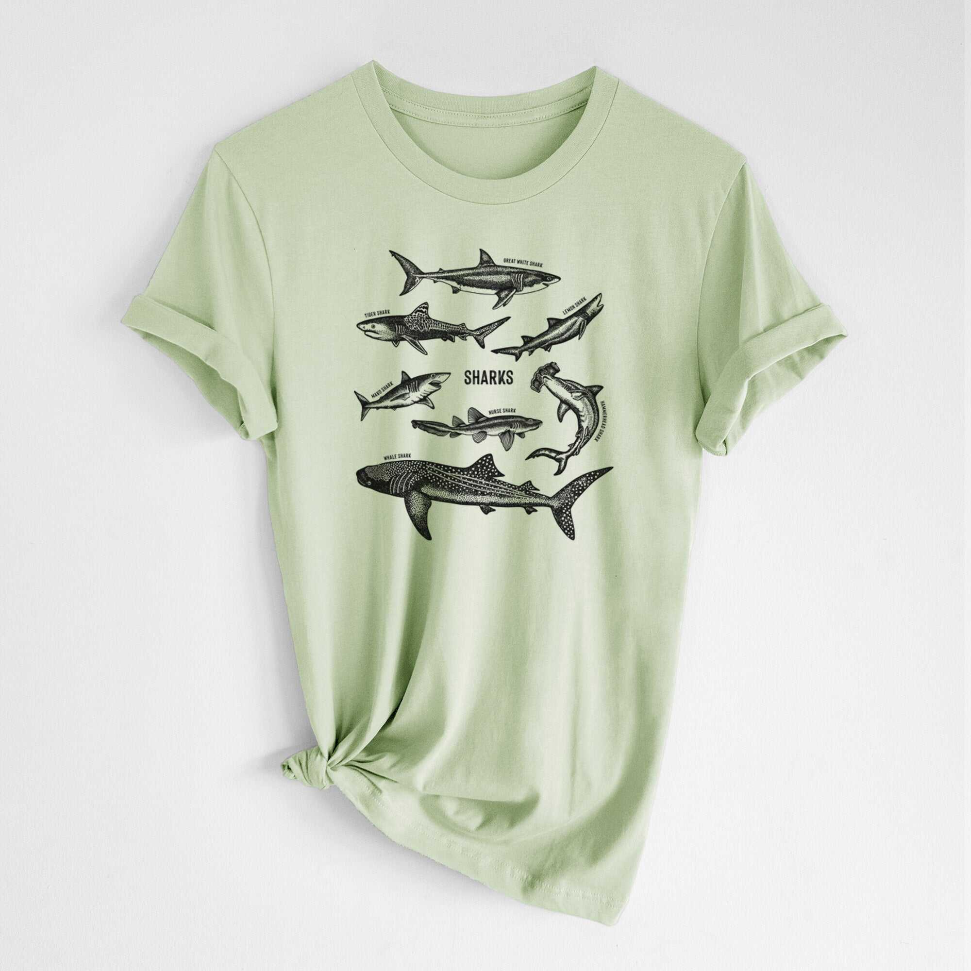 Shark Chart - Lightweight 100% Cotton Unisex Crewneck