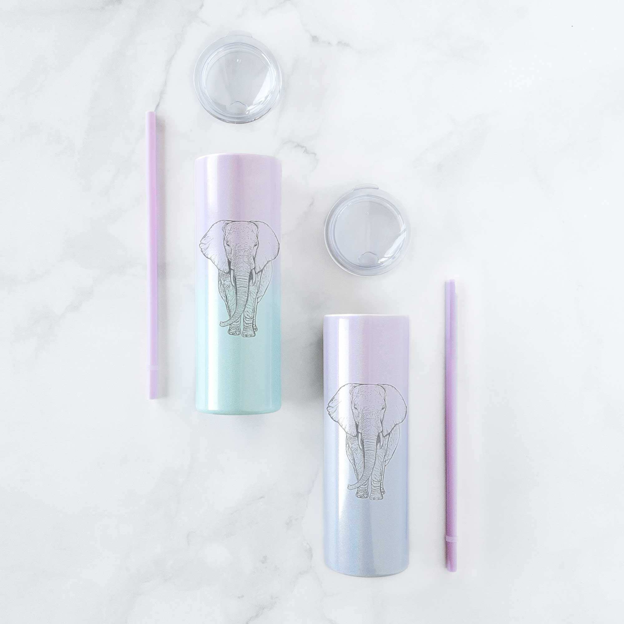 Loxodonta africana - African Elephant - 20oz Skinny Tumbler