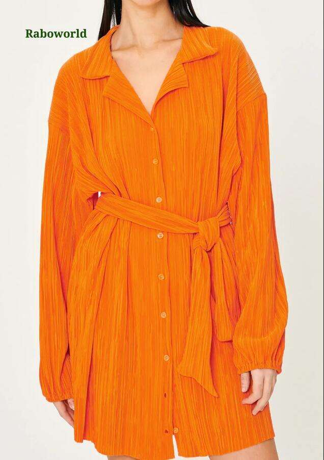 Sandra Plisse Shirt Dress