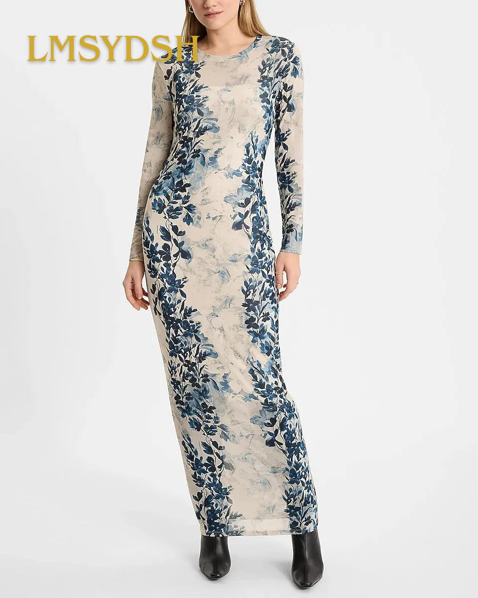 Printed Mesh Crew Neck Long Sleeve Maxi Dress