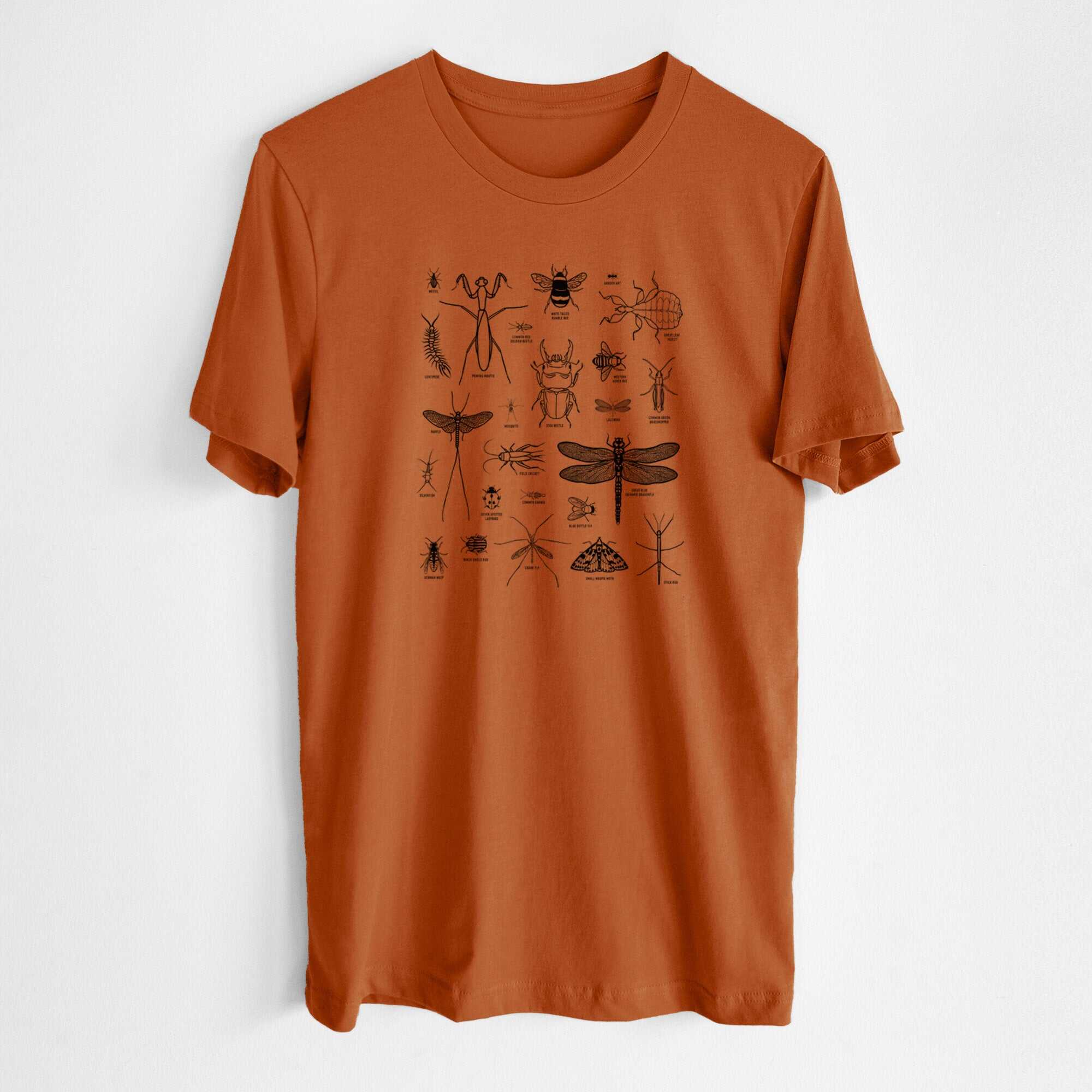 Chart of Arthropods/Insects - Lightweight 100% Cotton Unisex Crewneck
