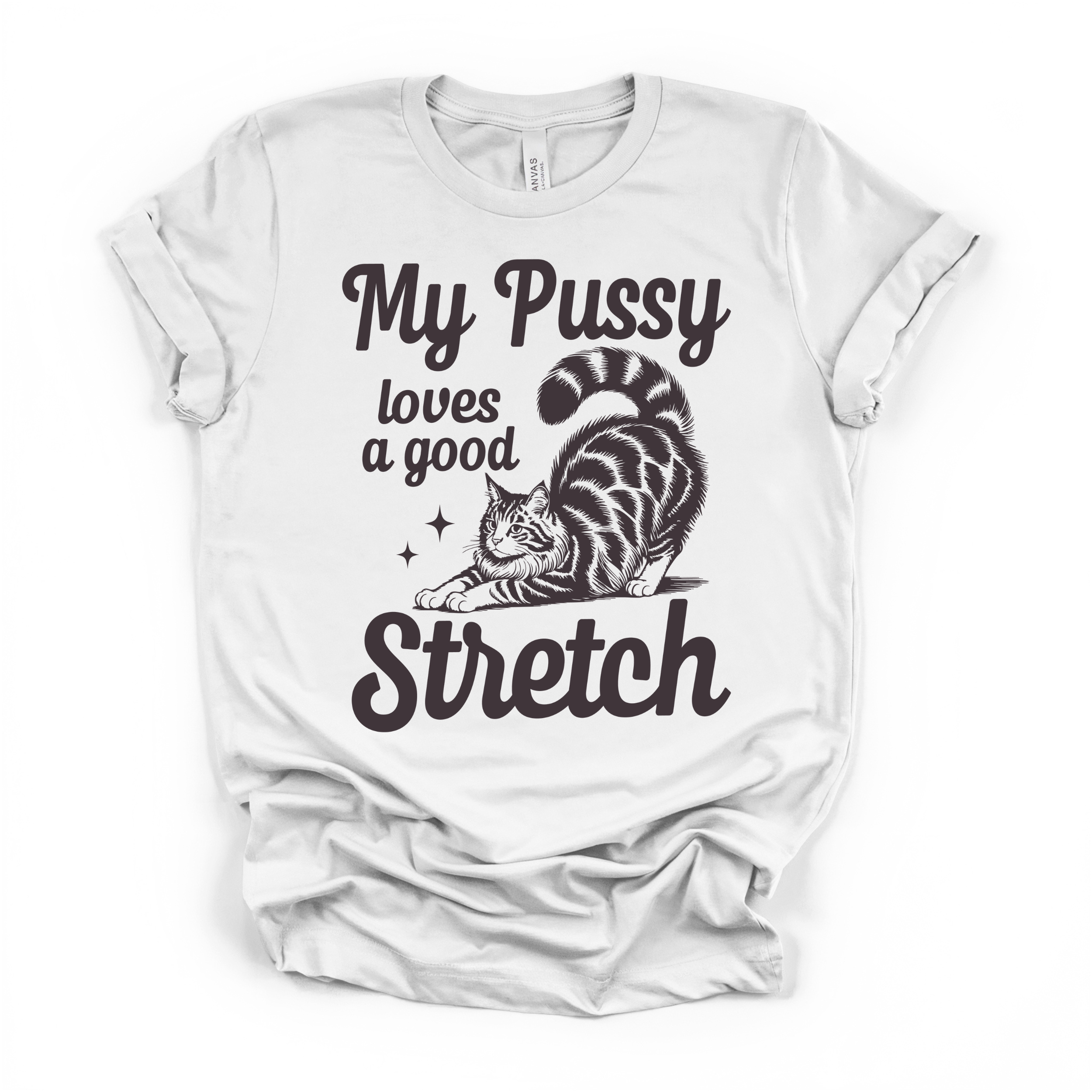 My Pu**y Loves A Good Stretch Women's Humor T Shirt