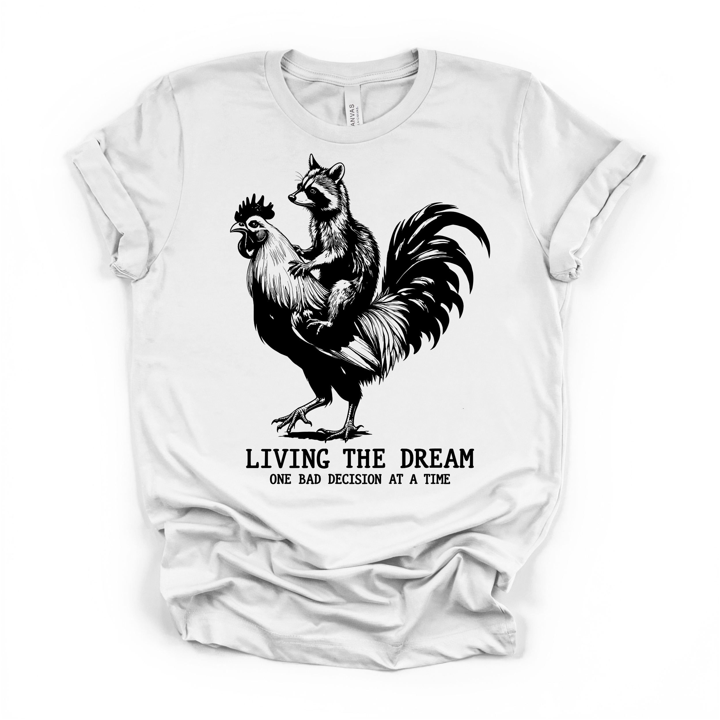 Living The Dream Women's Humor T Shirt