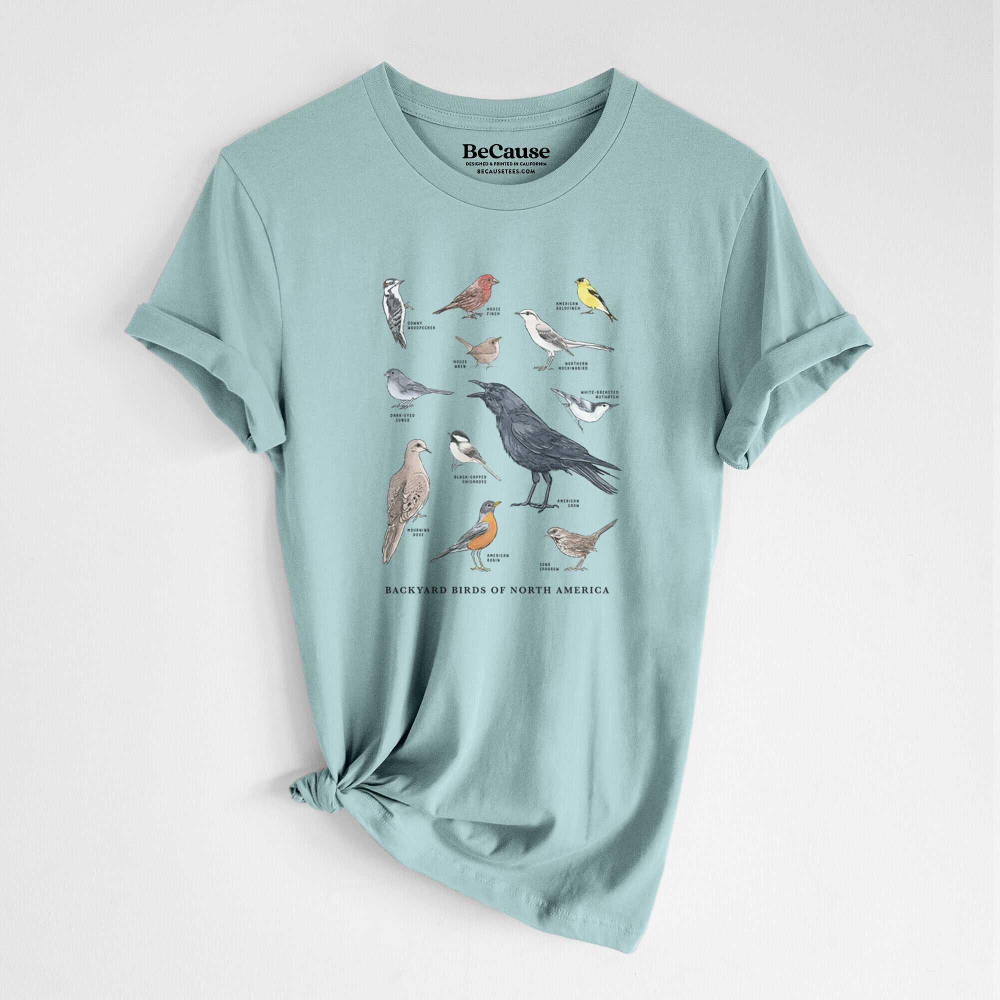 Common Backyard Birds of North America - Lightweight 100% Cotton Unisex Crewneck