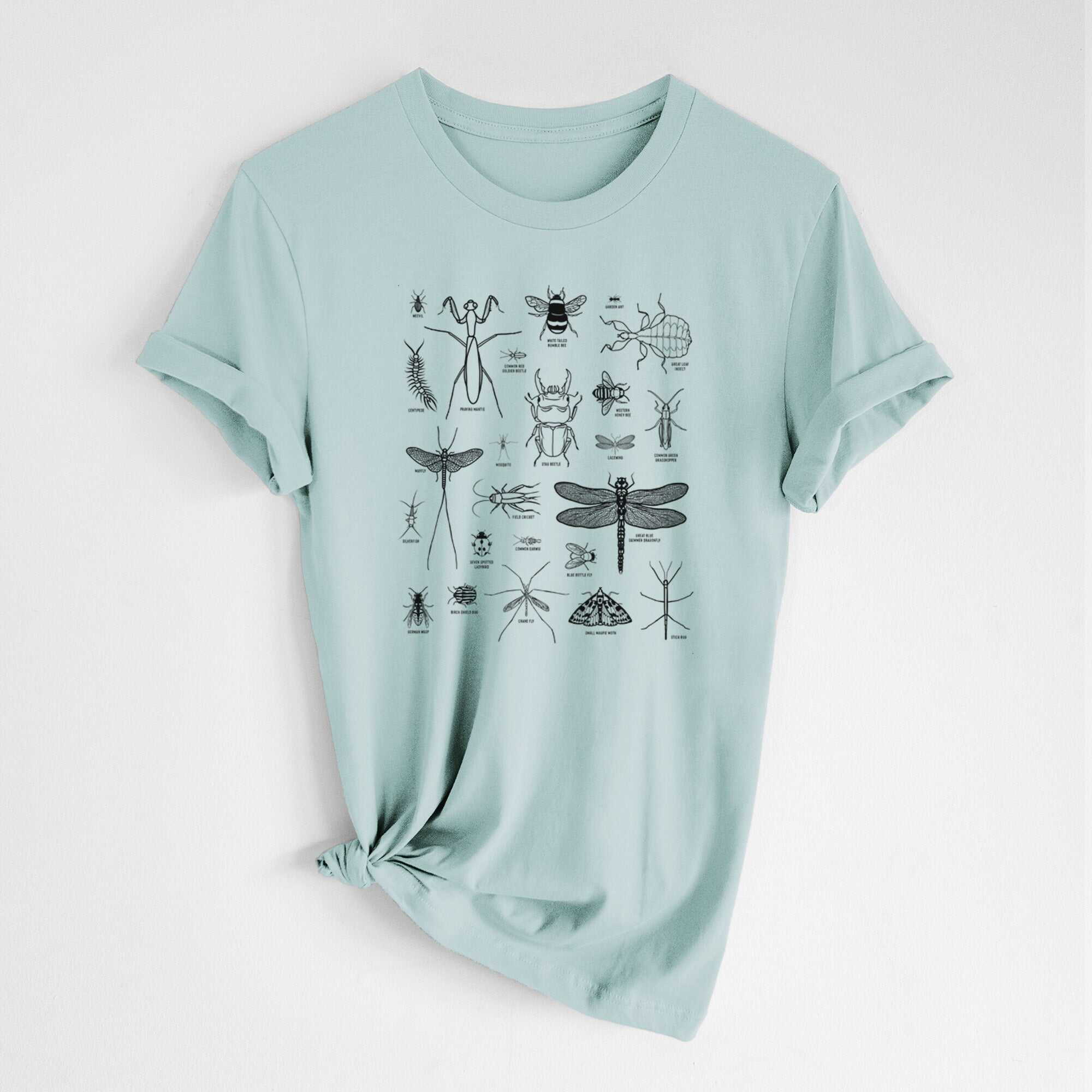 Chart of Arthropods/Insects - Lightweight 100% Cotton Unisex Crewneck