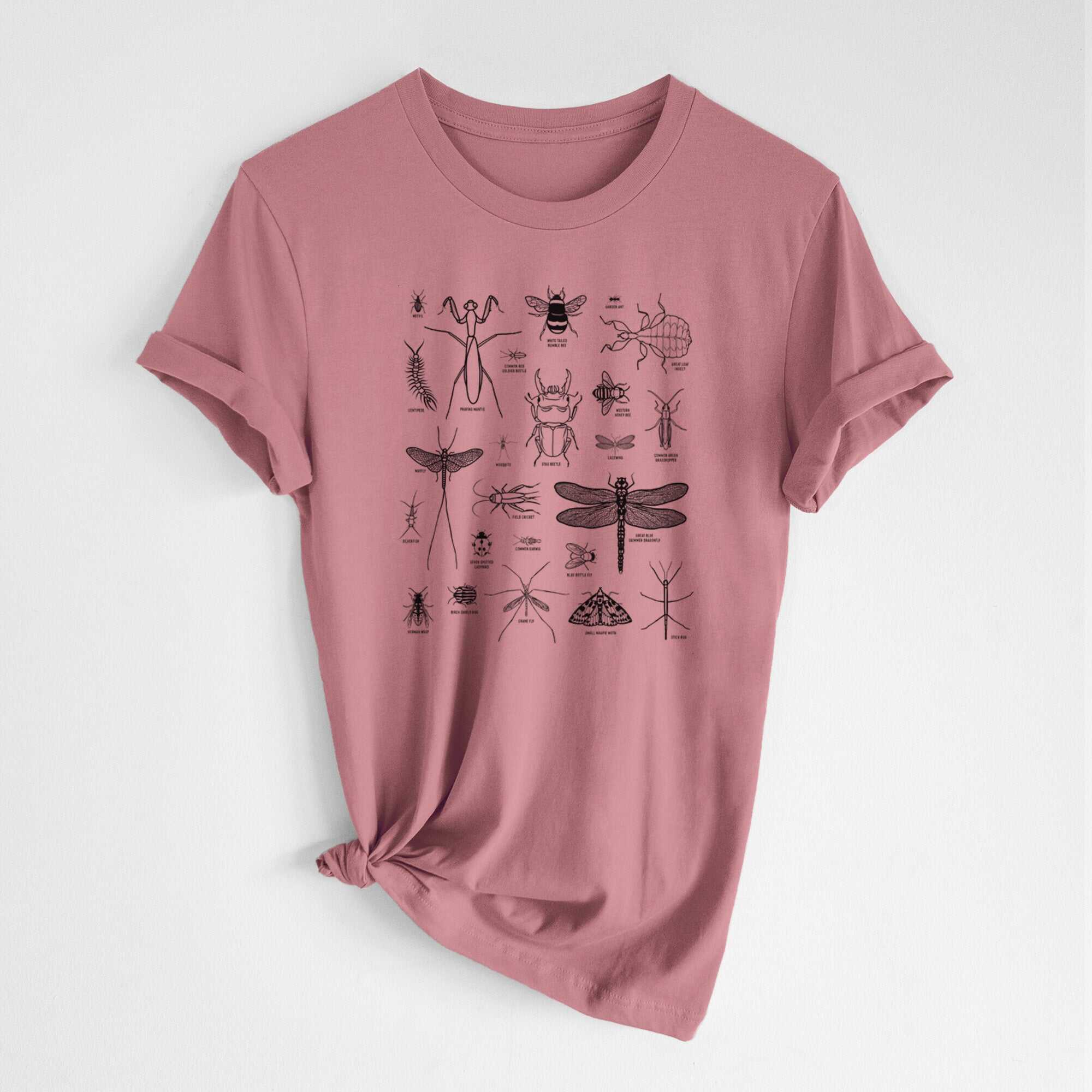 Chart of Arthropods/Insects - Lightweight 100% Cotton Unisex Crewneck