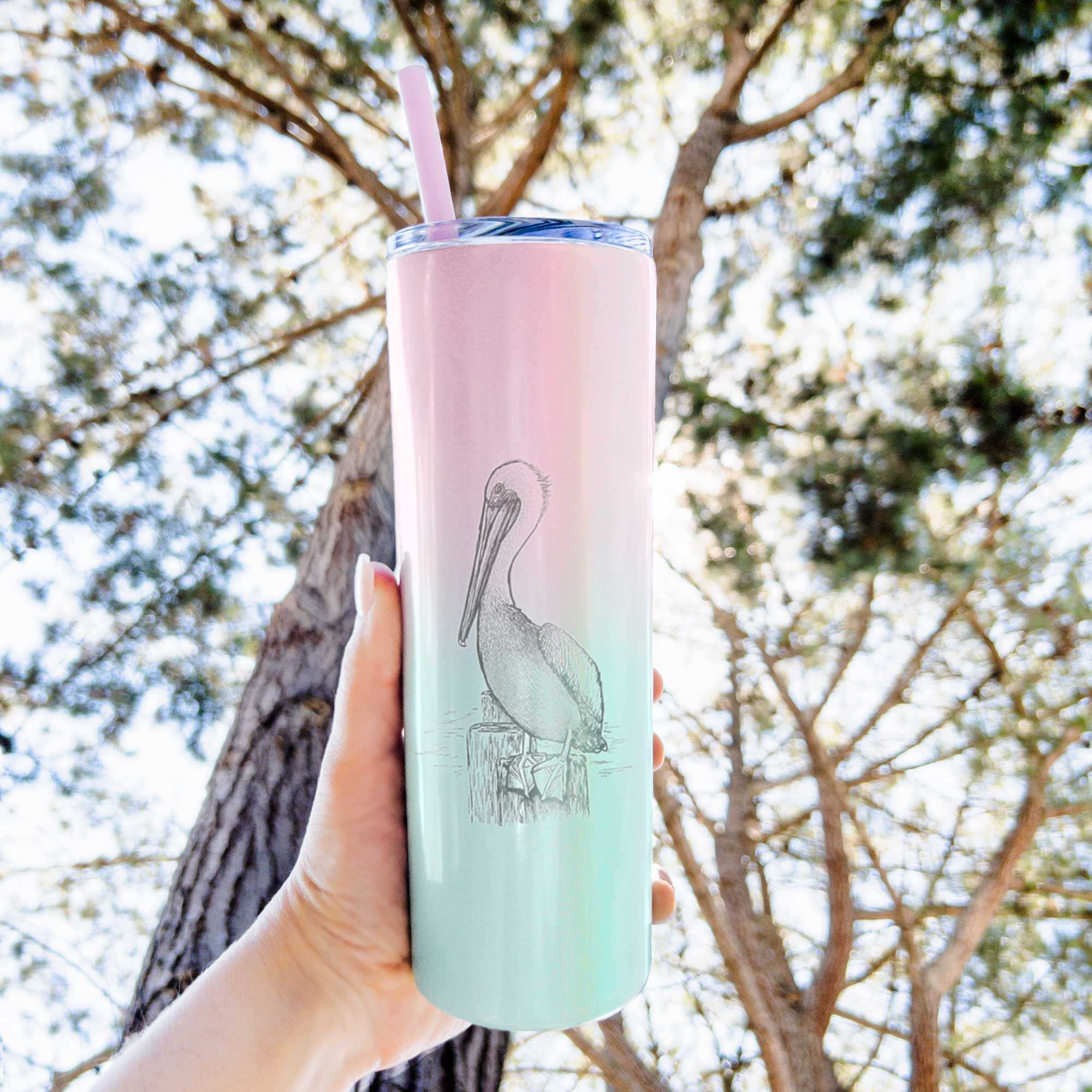 Pelecanus occidentalis - Brown Pelican - 20oz Skinny Tumbler