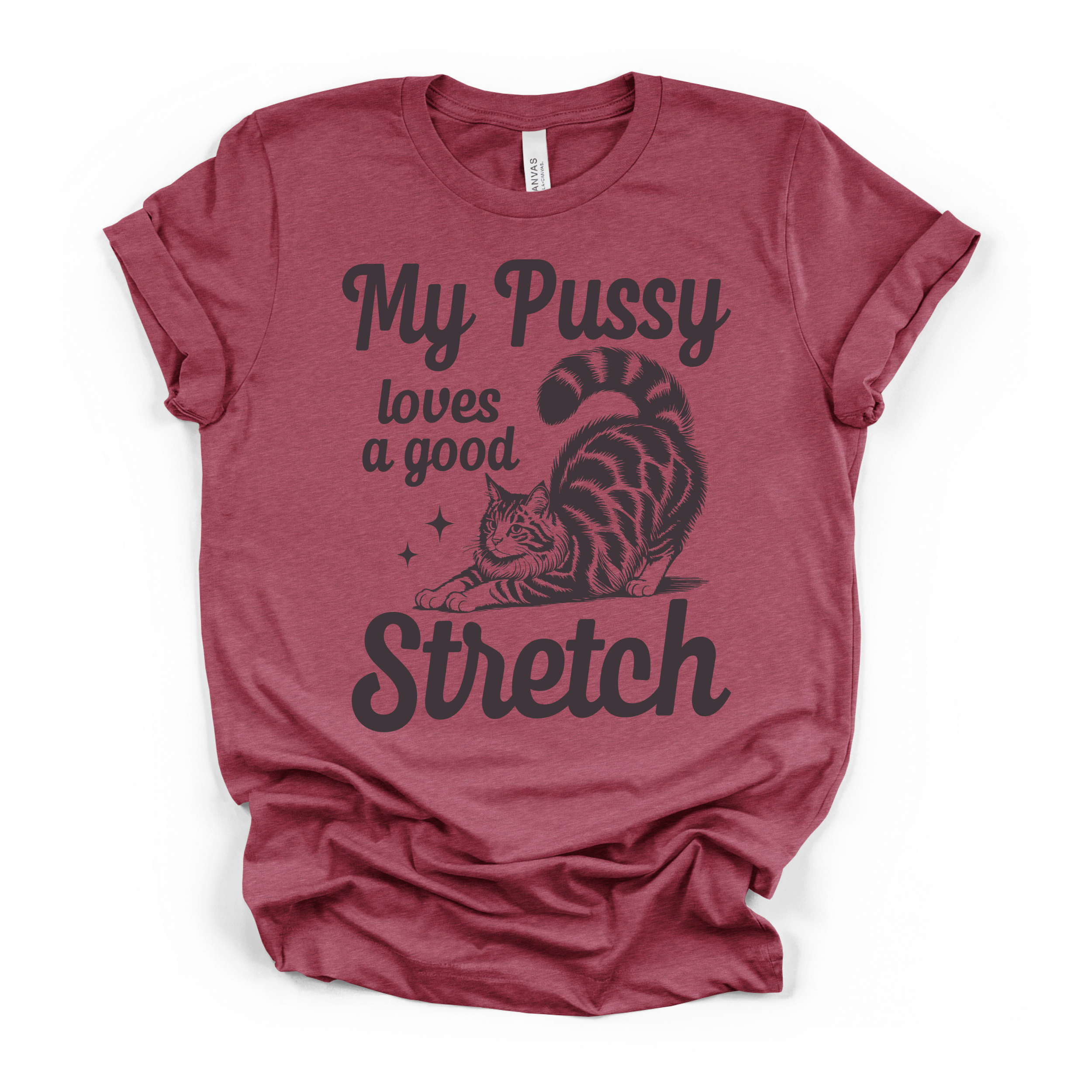 My Pu**y Loves A Good Stretch Women's Humor T Shirt