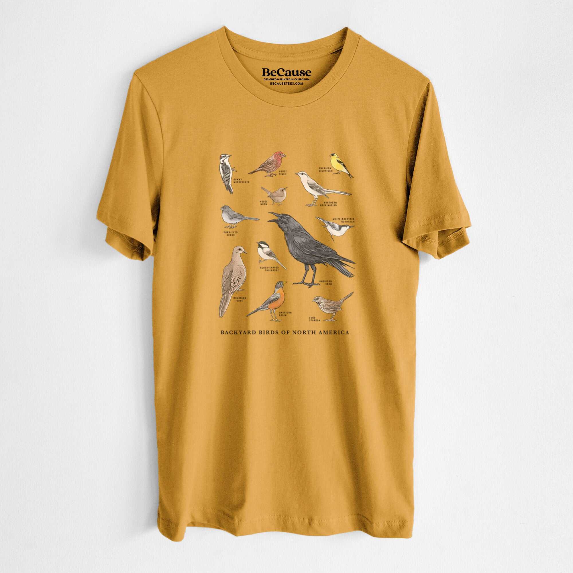 Common Backyard Birds of North America - Lightweight 100% Cotton Unisex Crewneck