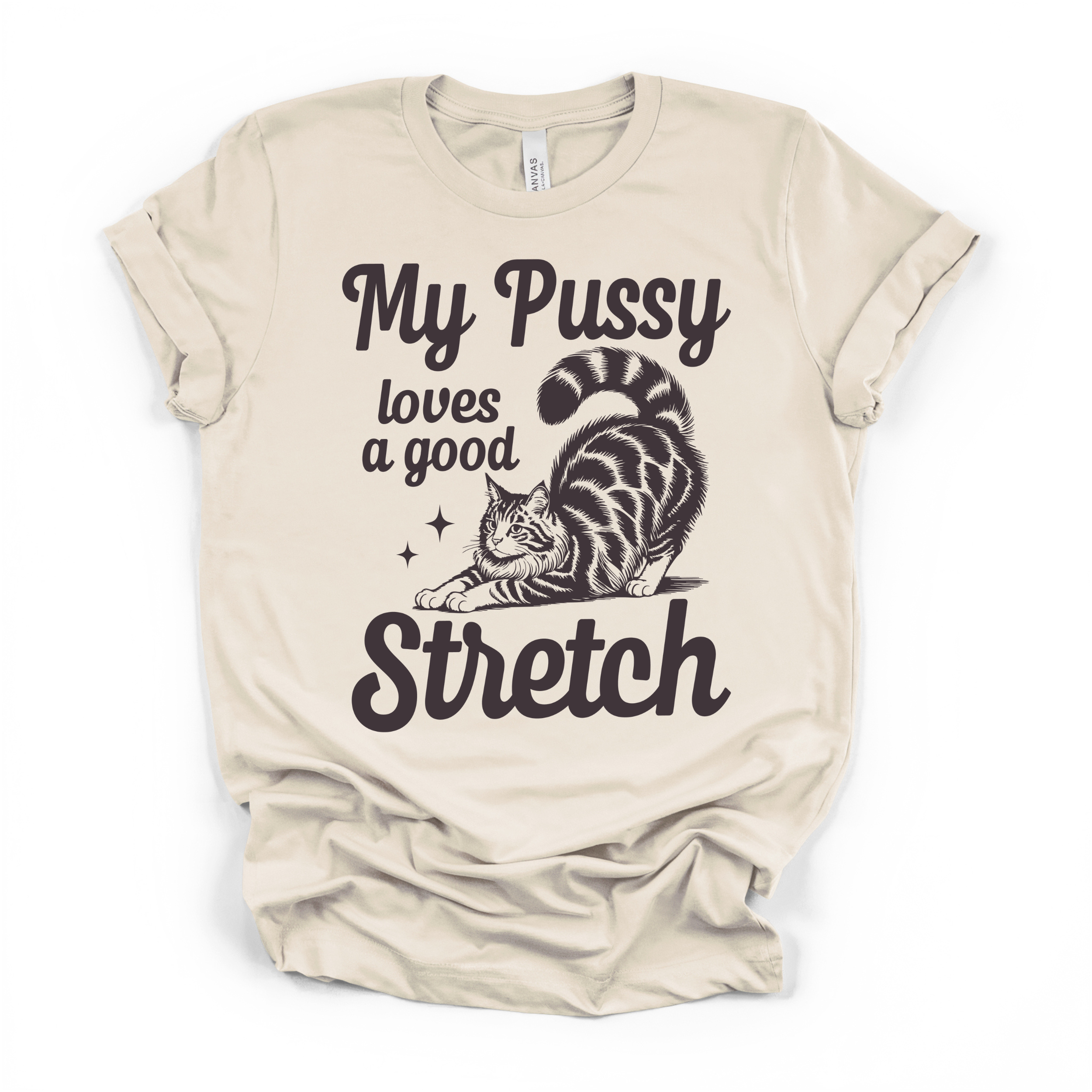 My Pu**y Loves A Good Stretch Women's Humor T Shirt