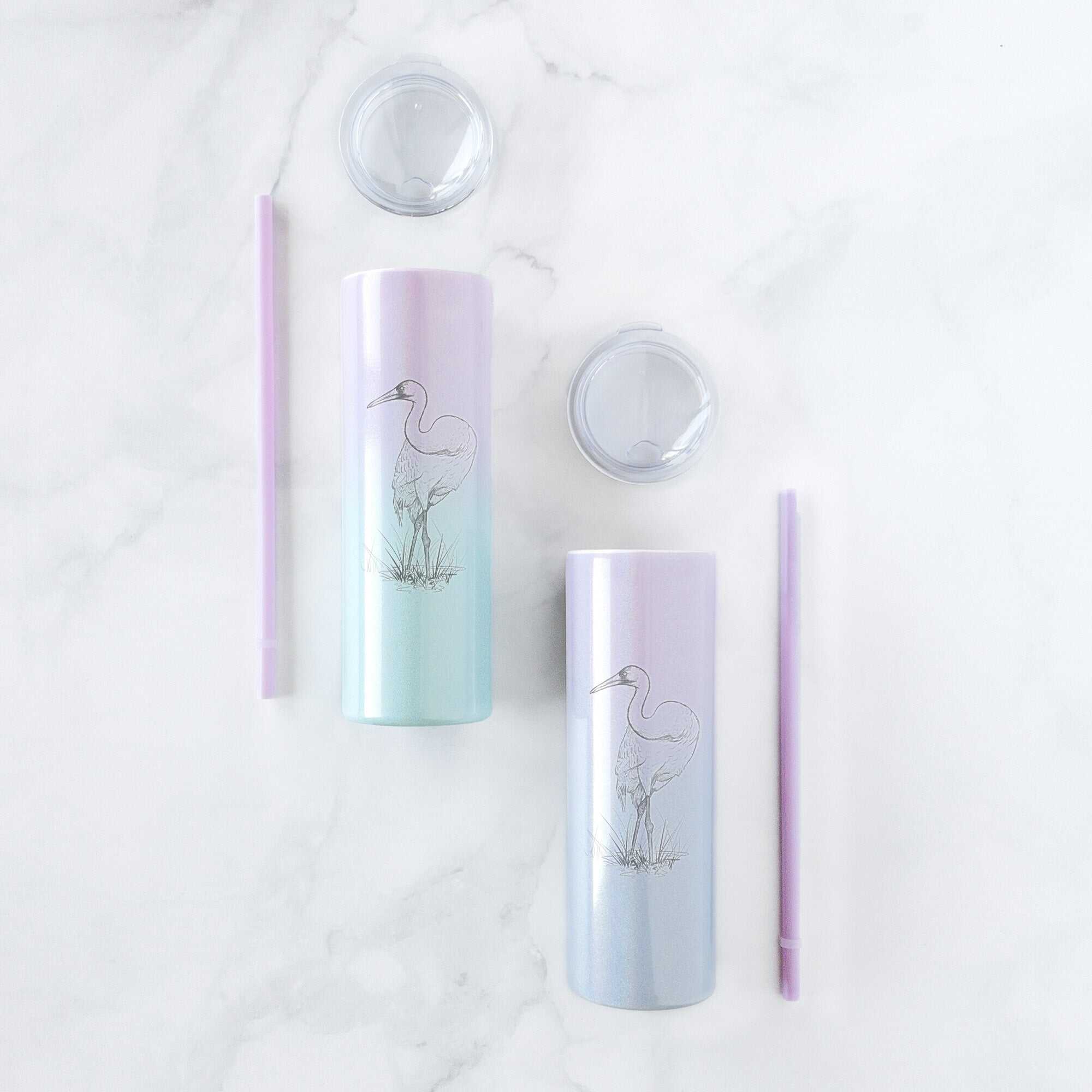 Whooping Crane - Grus americana - 20oz Skinny Tumbler